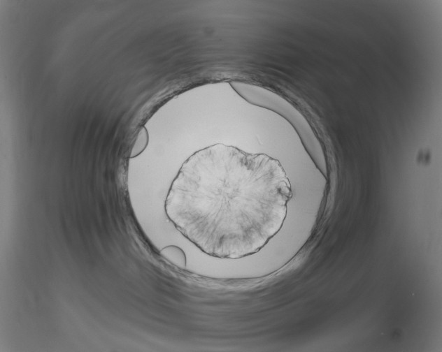 X0000116150048201001041102