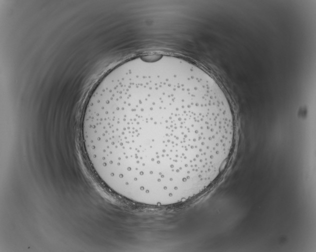 X0000116150049201001041102