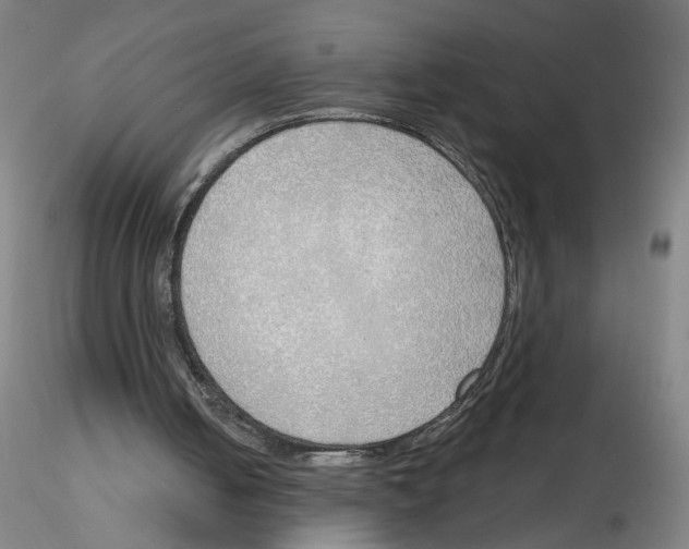 X0000116150050201001041102