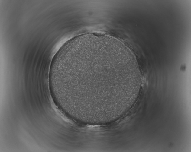 X0000116150052201001041102