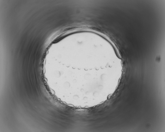 X0000116150053201001041102