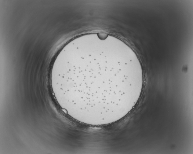 X0000116150055201001041102