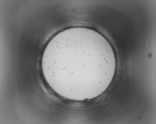 X0000116150058201001041102