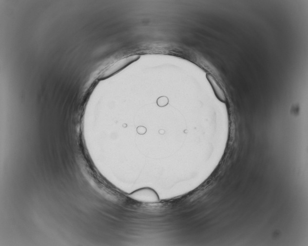 X0000116150059201001041102