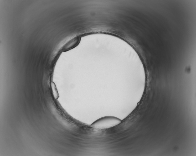 X0000116150060201001041102