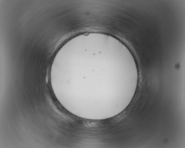 X0000116150062201001041102