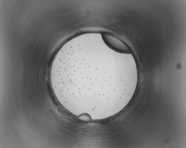 X0000116150063201001041102