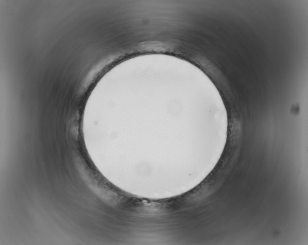 X0000116150064201001041102