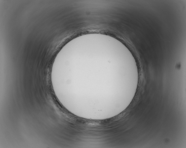 X0000116150066201001041102