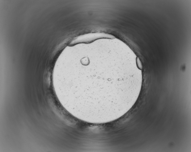 X0000116150067201001041102