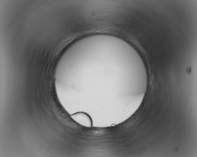 X0000116150068201001041102