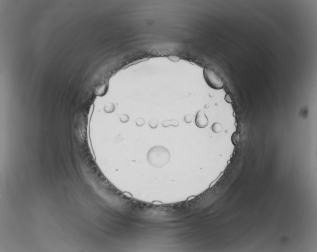 X0000116150069201001041102