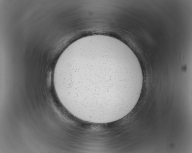 X0000116150070201001041102