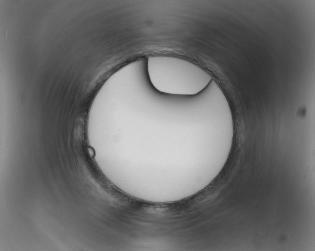 X0000116150071201001041102