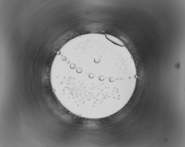 X0000116150073201001041102