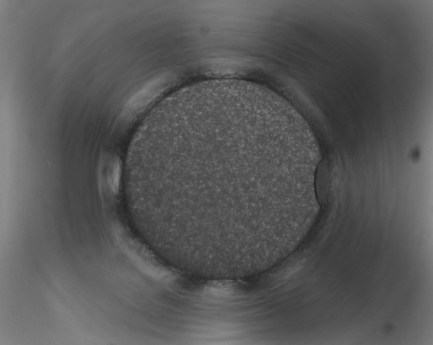 X0000116150076201001041102