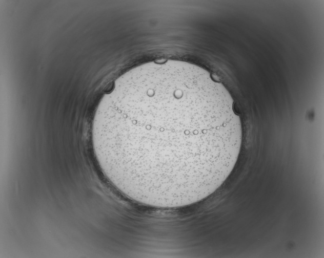 X0000116150077201001041102