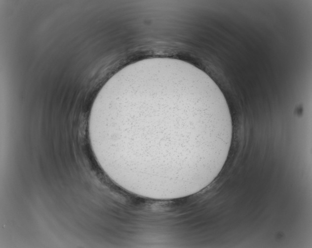 X0000116150078201001041102