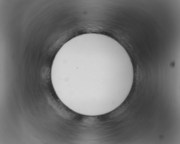 X0000116150079201001041102