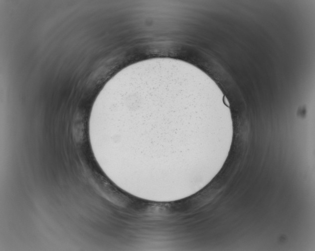 X0000116150080201001041102