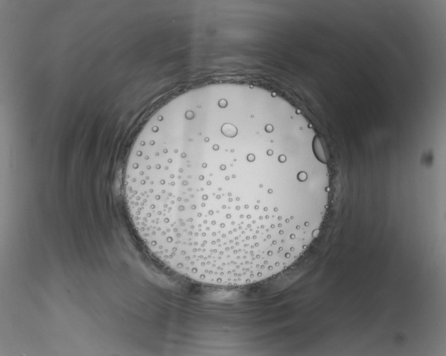 X0000116150081201001041102