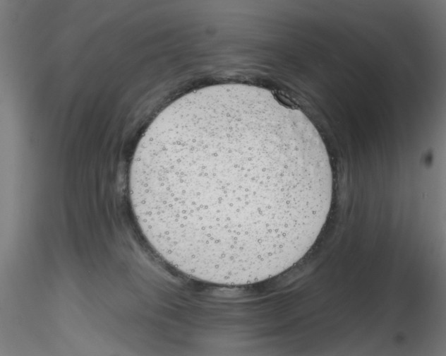 X0000116150085201001041102