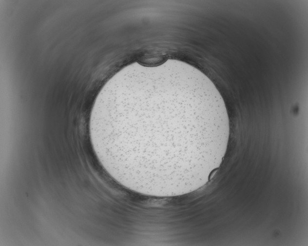 X0000116150086201001041102