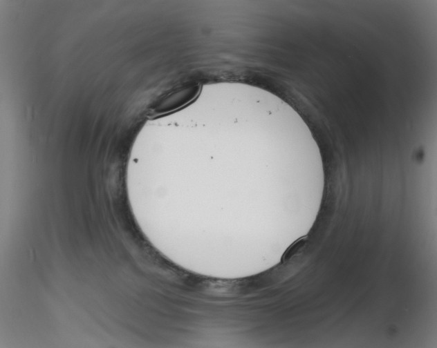 X0000116150088201001041102