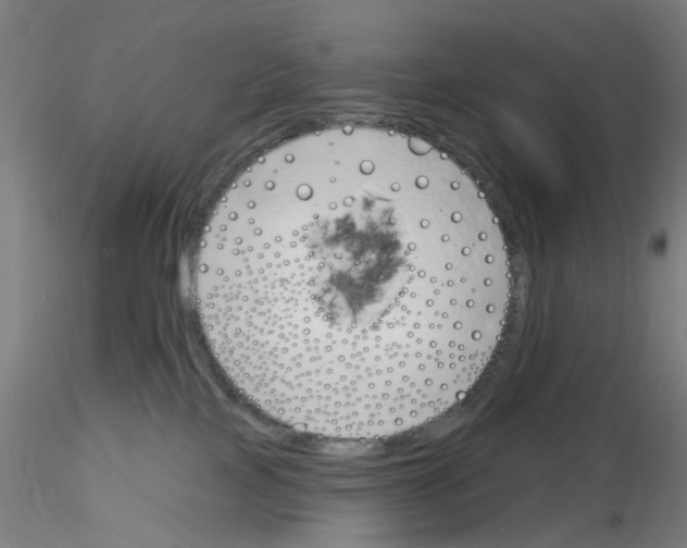 X0000116150089201001041102