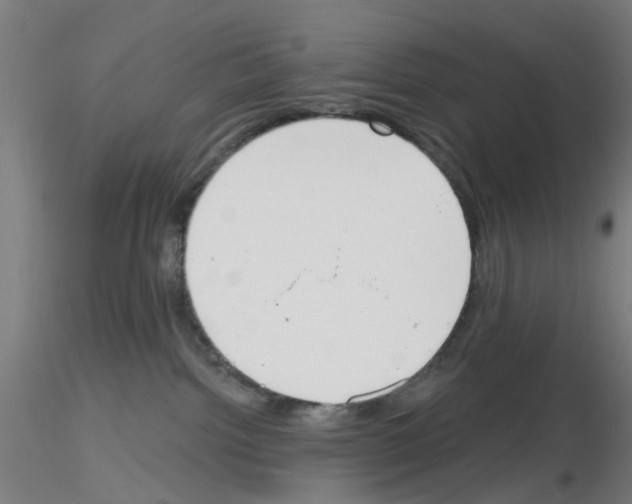 X0000116150092201001041102