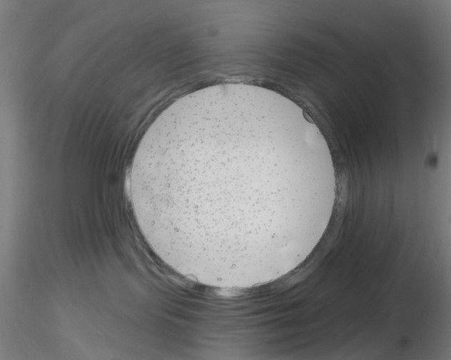 X0000116150095201001041102