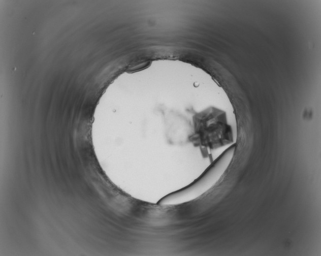 X0000116150096201001041102