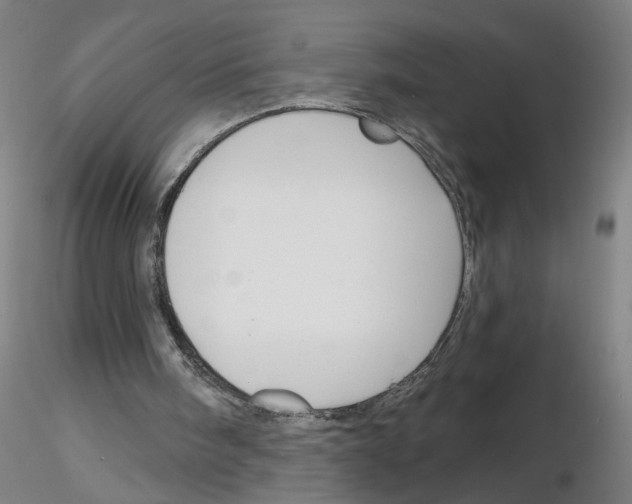 X0000116150098201001041102