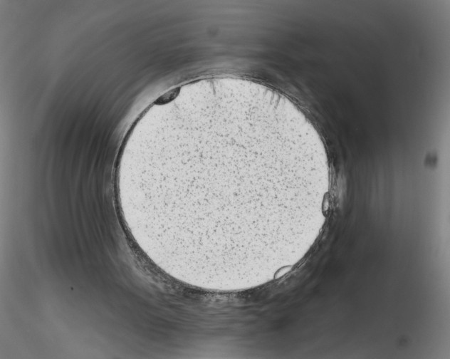 X0000116150099201001041102