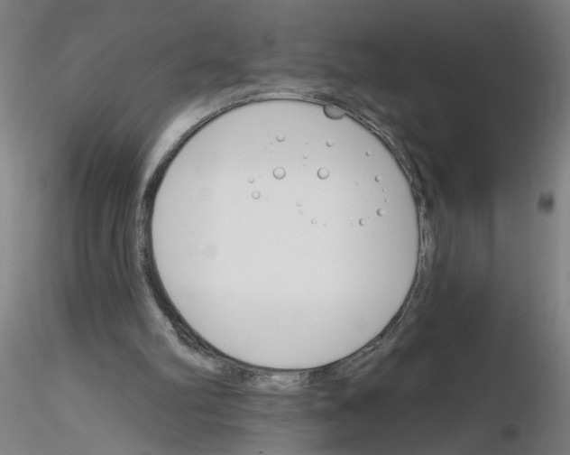 X0000116150102201001041102