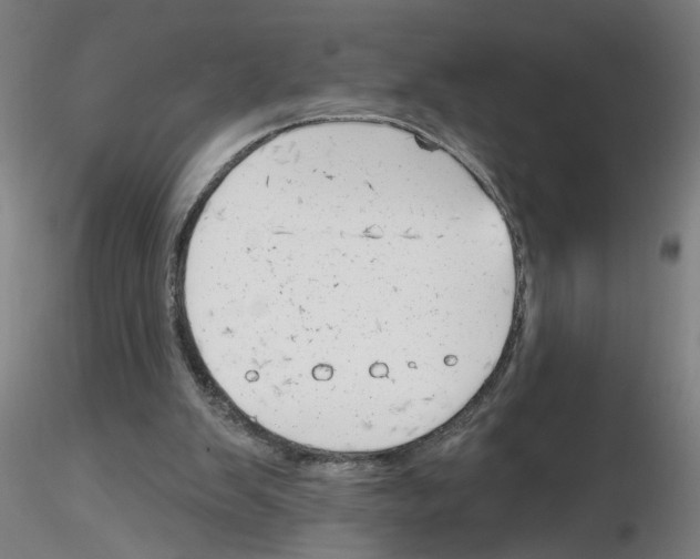 X0000116150103201001041102