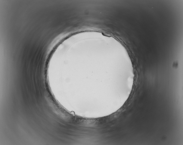 X0000116150104201001041101