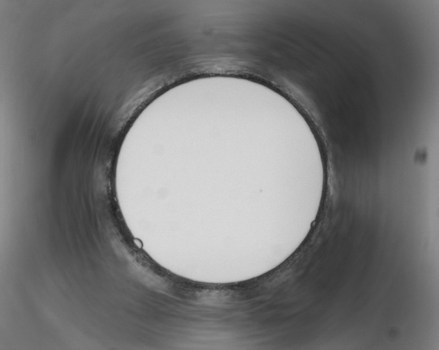 X0000116150105201001041101