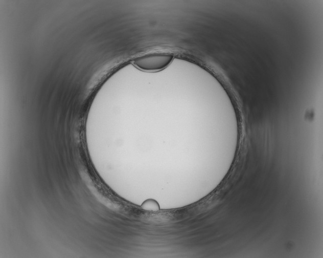 X0000116150106201001041101