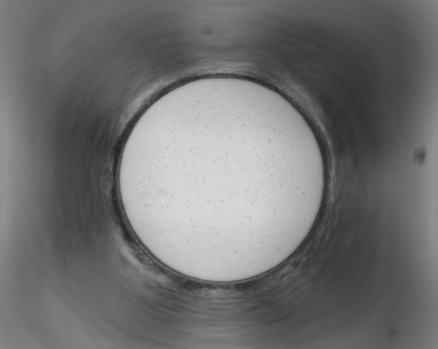 X0000116150107201001041101