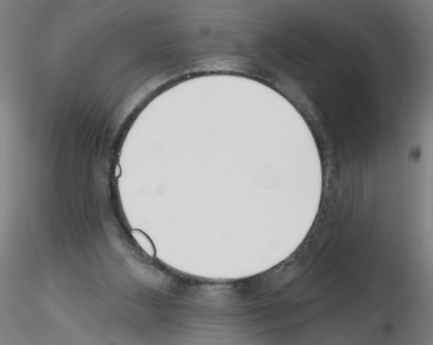 X0000116150108201001041101