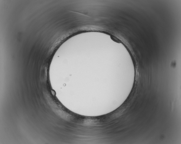 X0000116150109201001041101