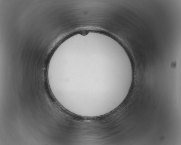 X0000116150111201001041101