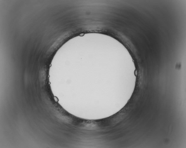 X0000116150113201001041101