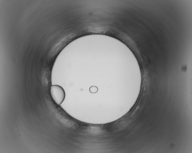 X0000116150114201001041101