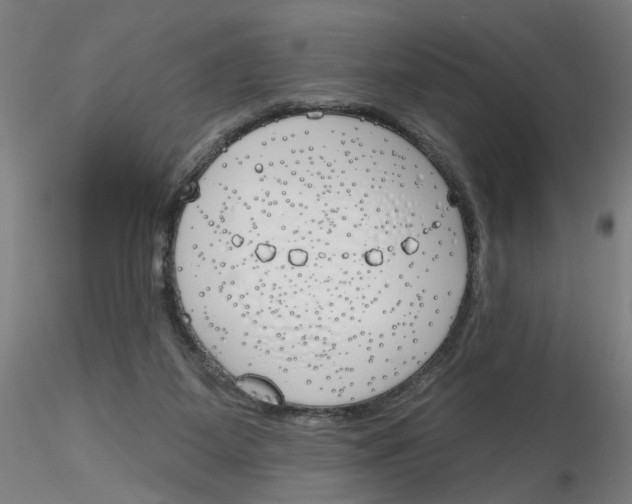 X0000116150115201001041101