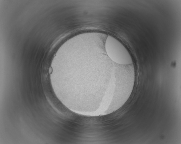 X0000116150116201001041101