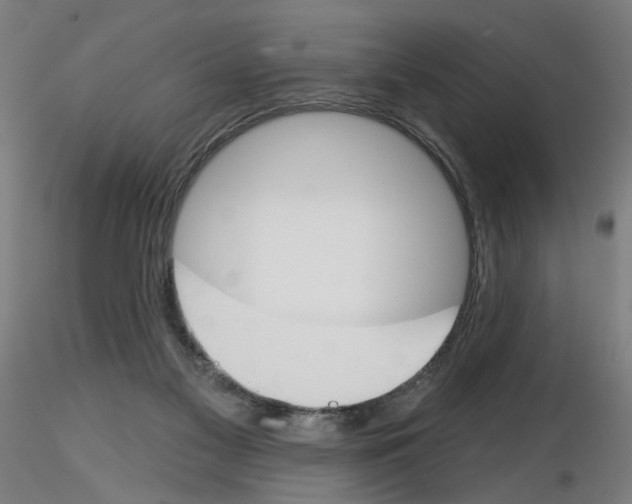 X0000116150117201001041101