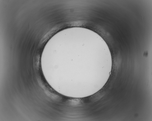 X0000116150118201001041101