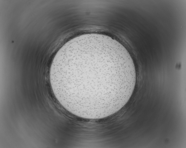 X0000116150119201001041101